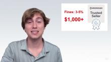 Embedded thumbnail for Spinna